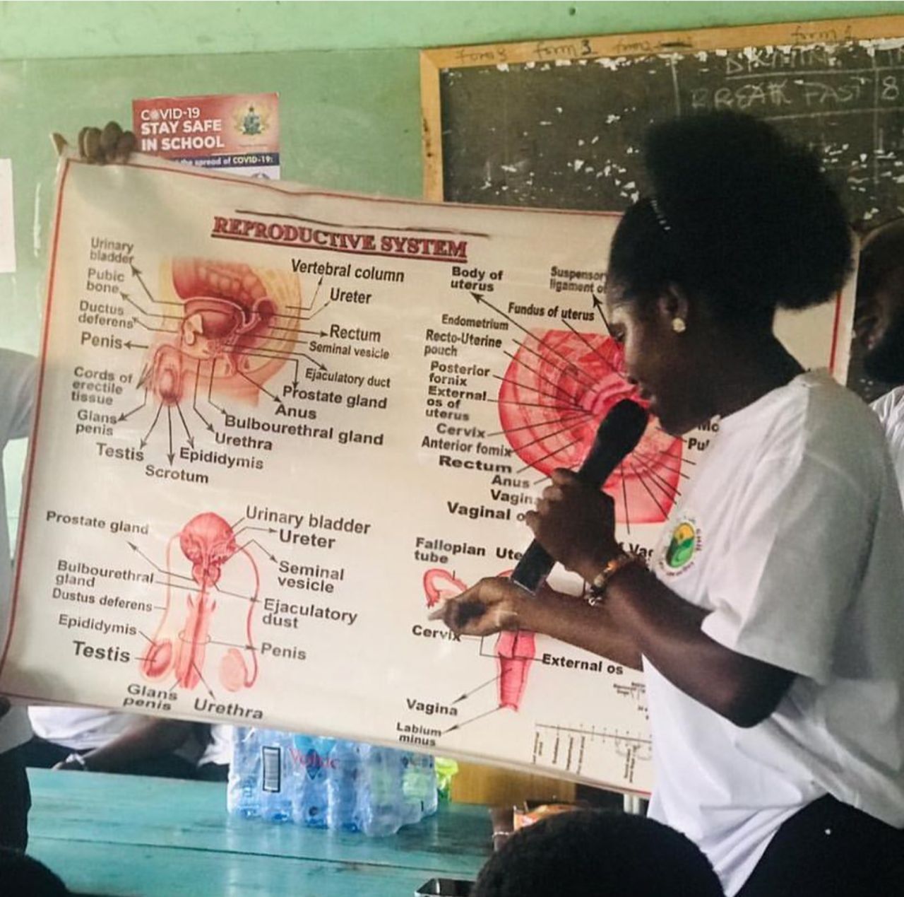 Collaborative Project with Awisi Foundation